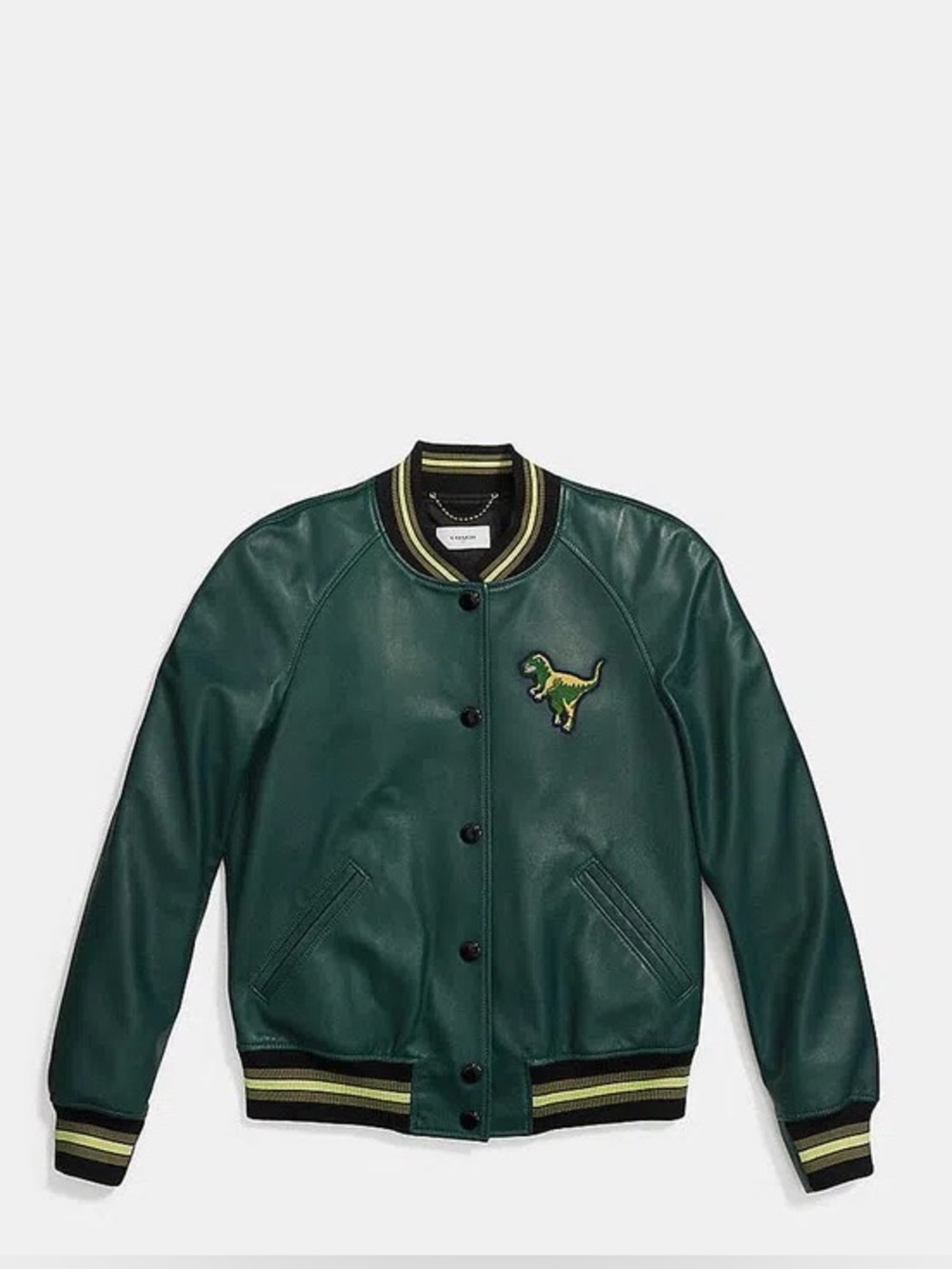 Coach Rexy Leather Bomber Jacket